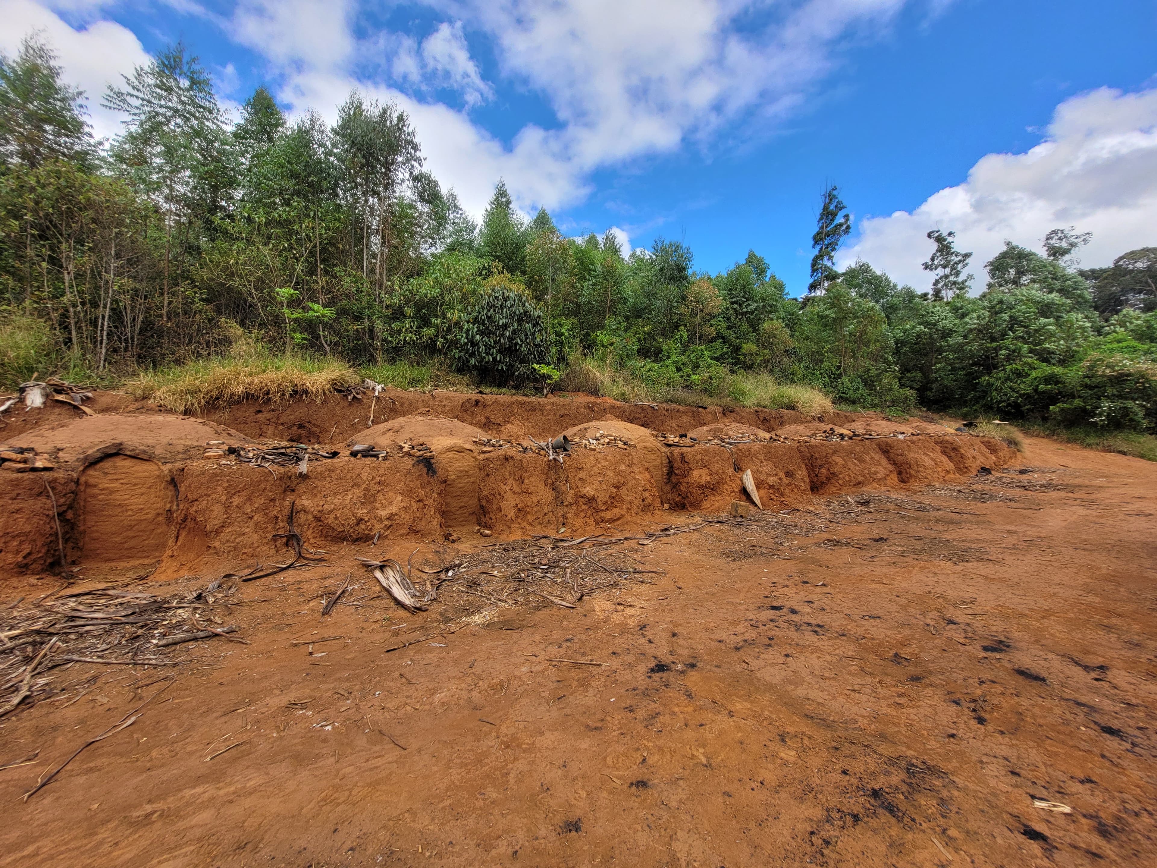 Fornos de carvão vegetal monitorados para Declaração de Colheita Florestal - DCF
