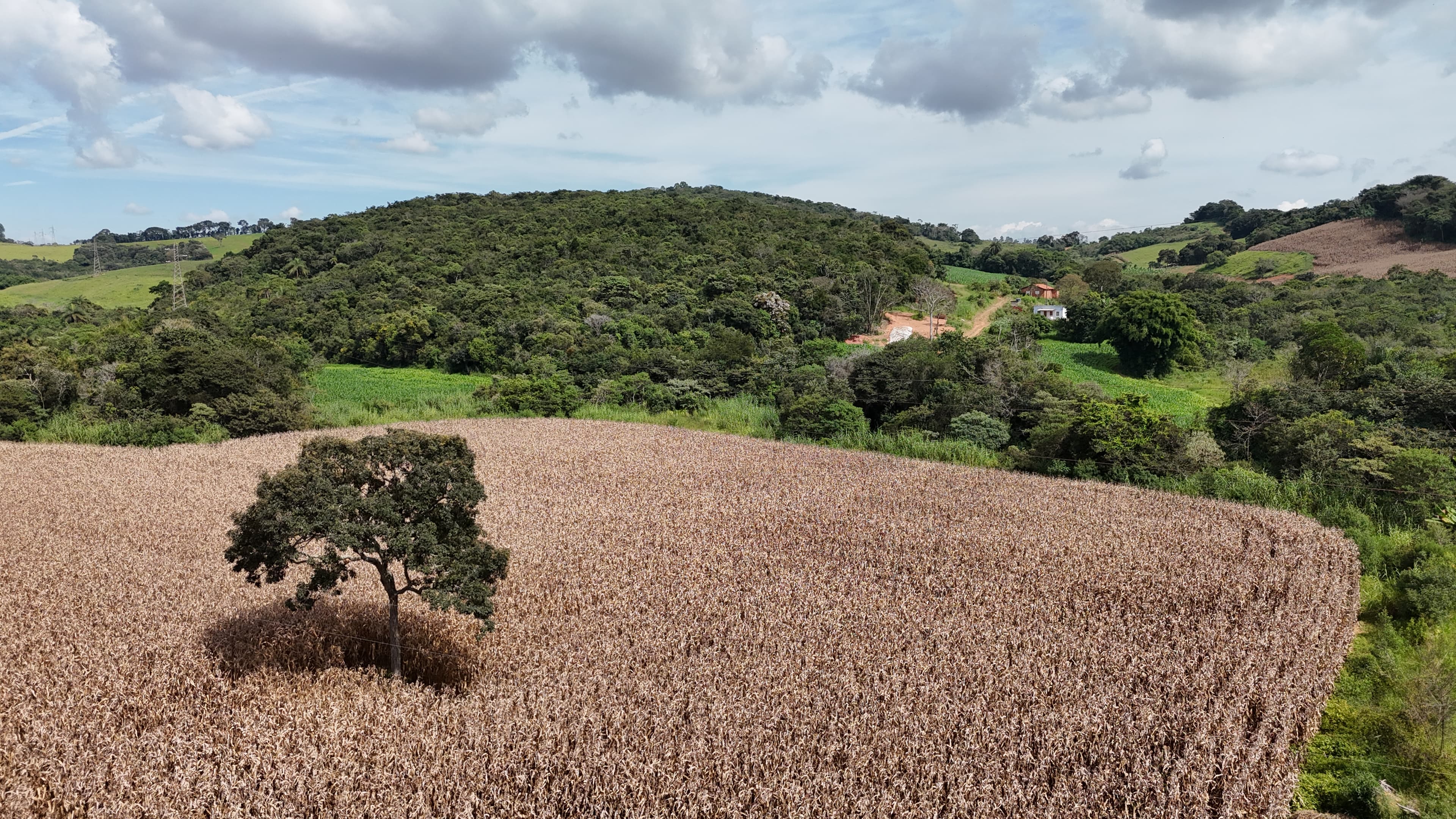 Área rural monitorada vista do alto